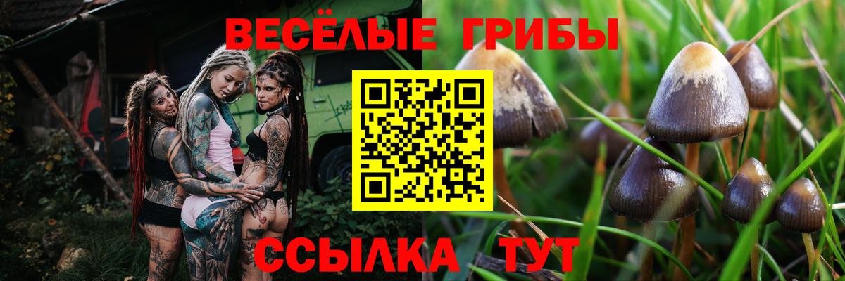 Галлюциногенные грибы GOLDEN TEACHER Полевской
